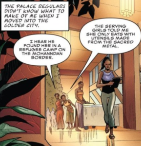 Rise of the Black Panther puts special emphasis on T'Challa's mother.