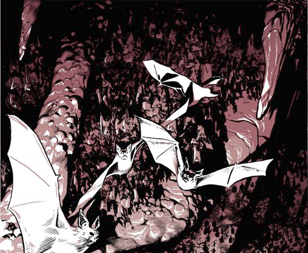 Are there as many species of bat colonies here as Mammoth Cave